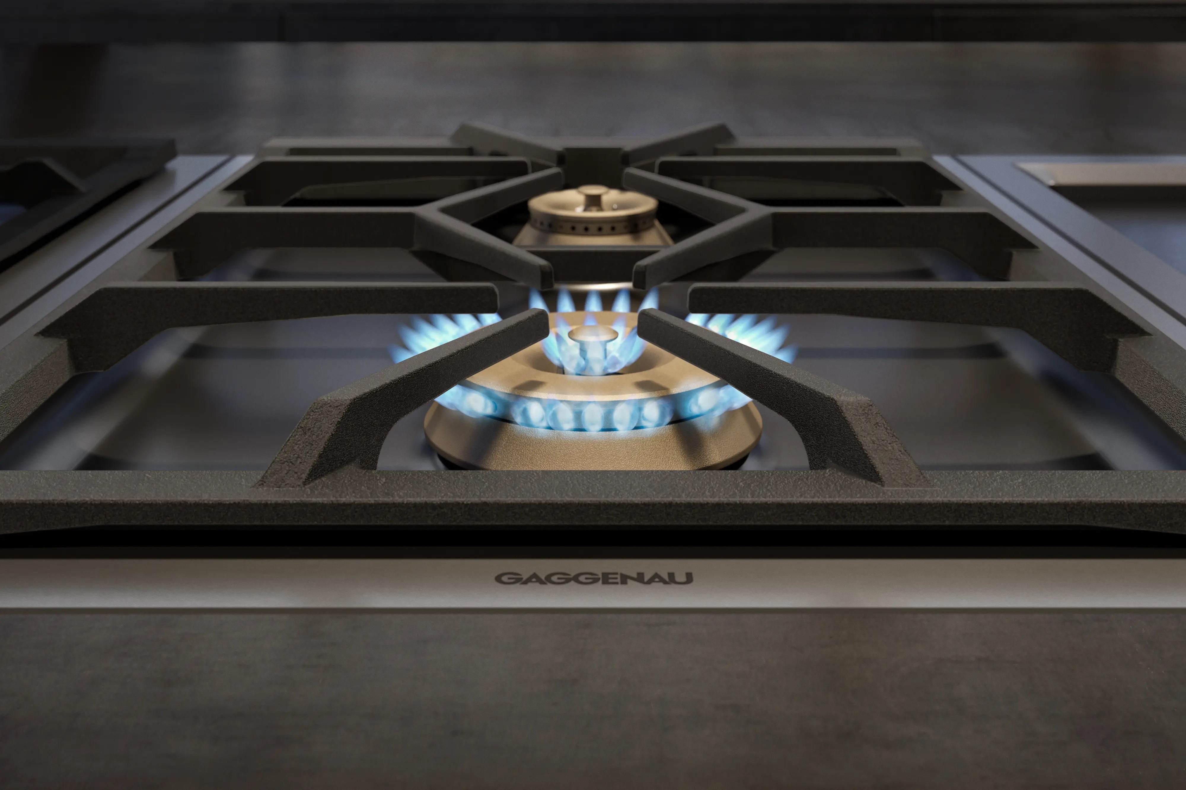 Gaggenau 400 series Vario gas cooktop 38 cm Liquid gas 28-37 mbar