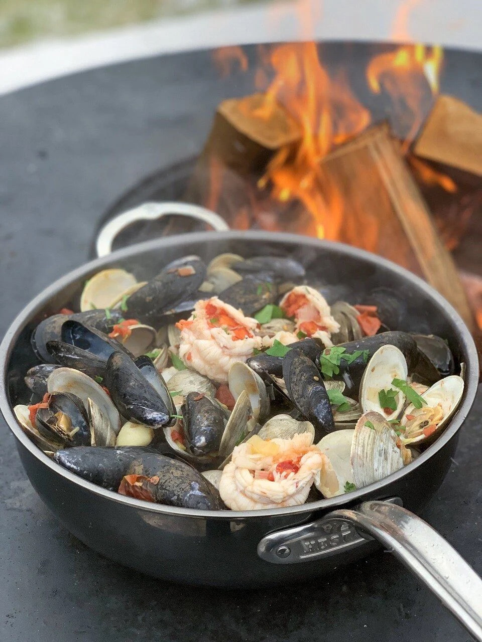 Hestan Nanobond Covered Essential Pan
