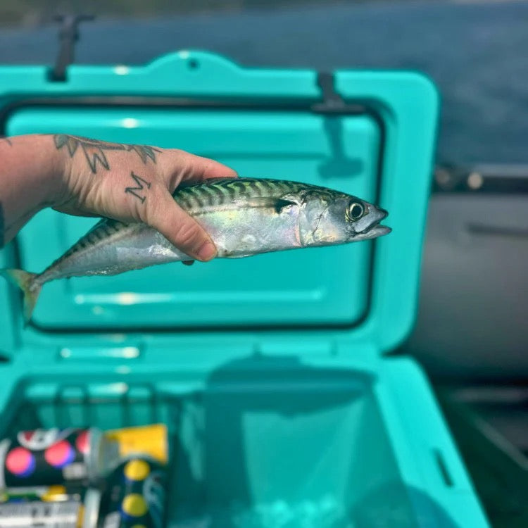 Orbie 35 Cooler - Mountain Blue