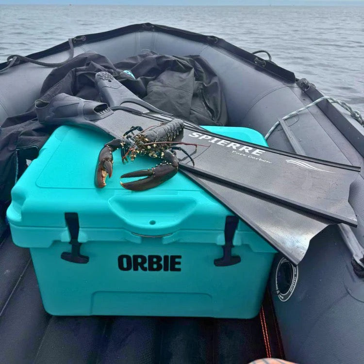 Orbie 35 Cooler - Mountain Blue