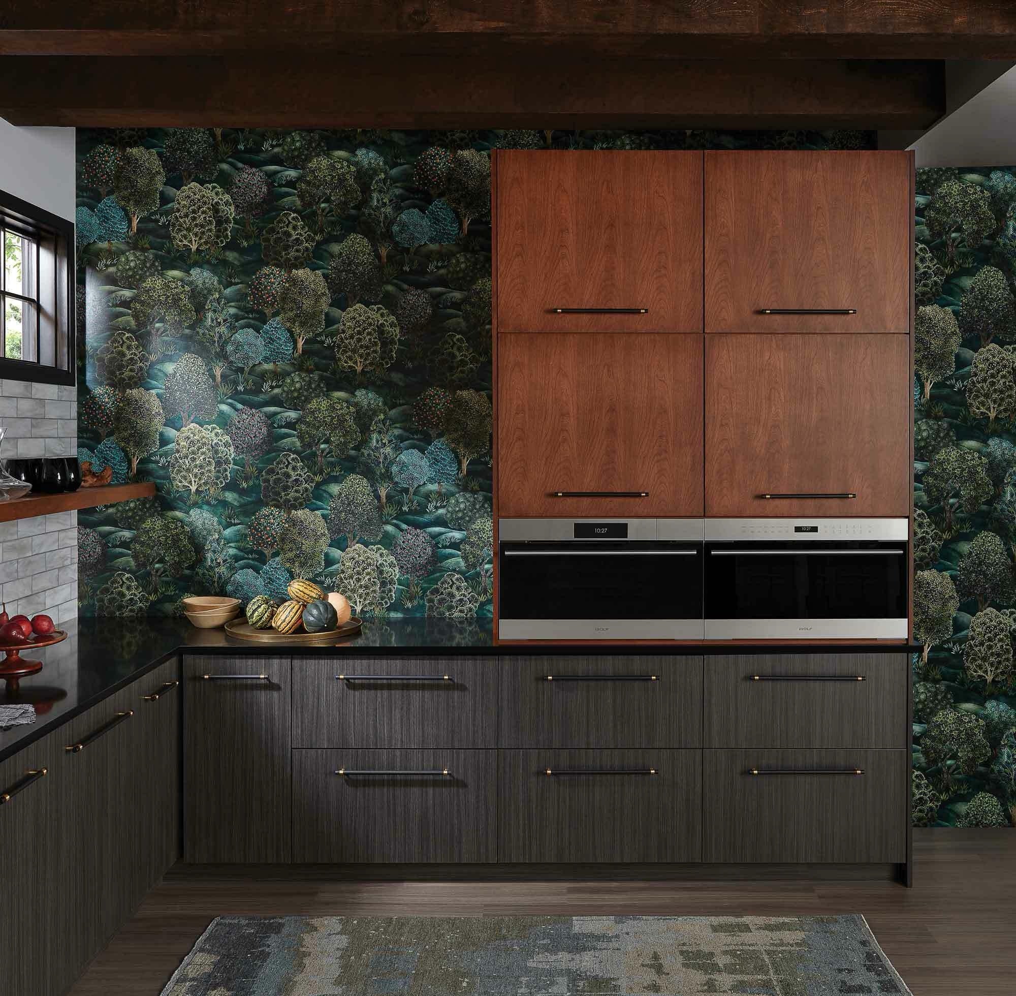 Wolf E Series Transitional Convection Steam Oven ICBCSO3050TE/S/T