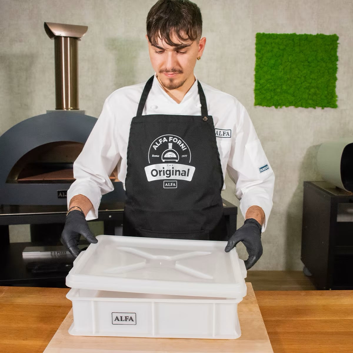 Alfa Forni Dough Box