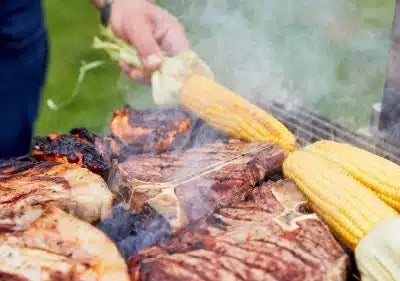 Everhot Outdoor Grill