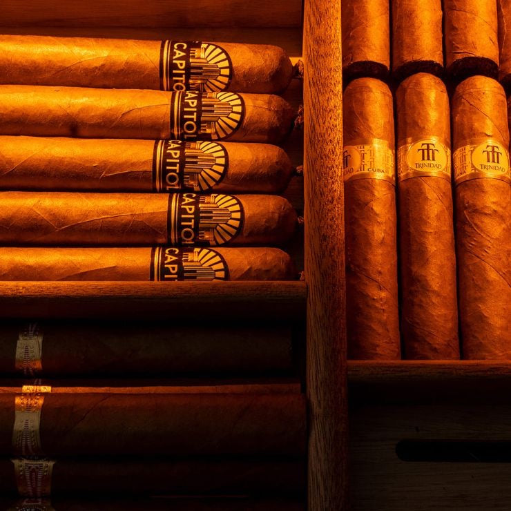EuroCave Cigar humidor