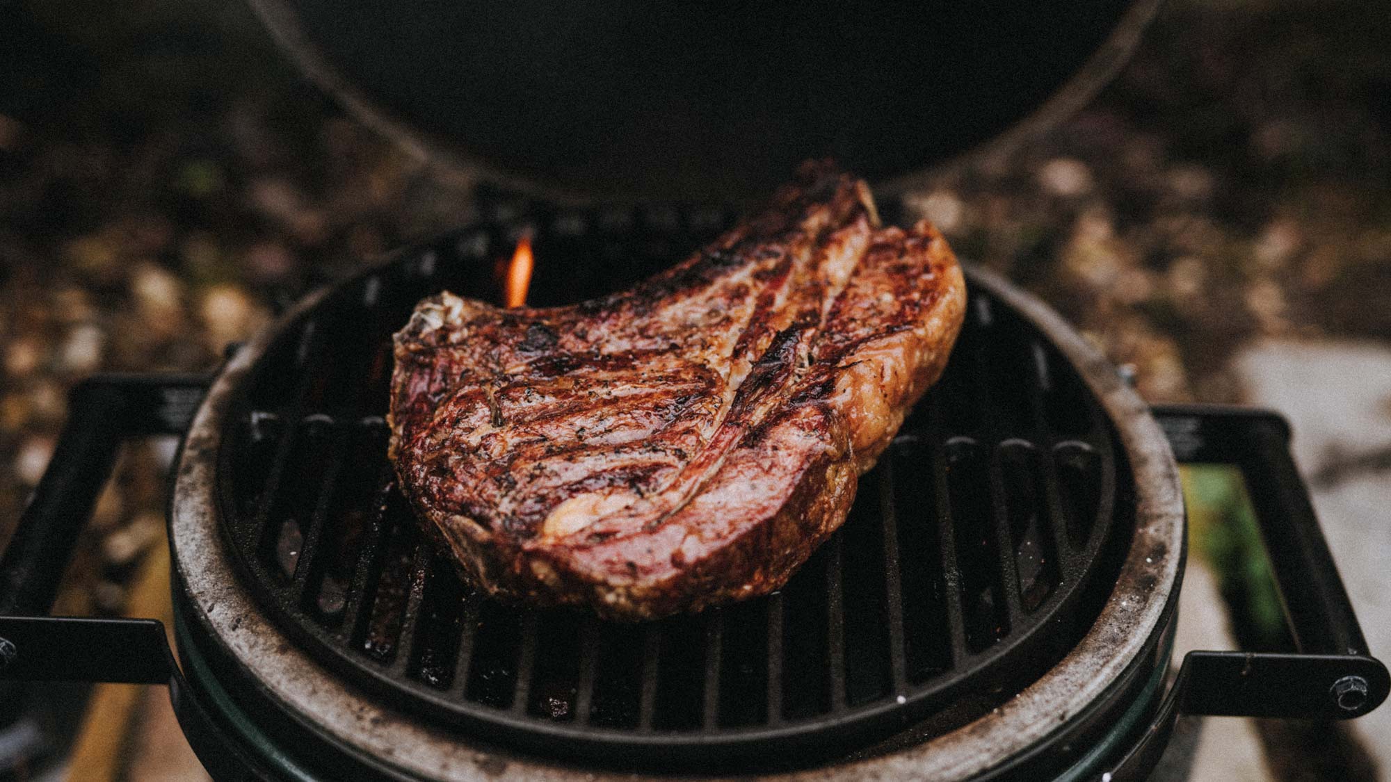 Big Green Egg Minimax