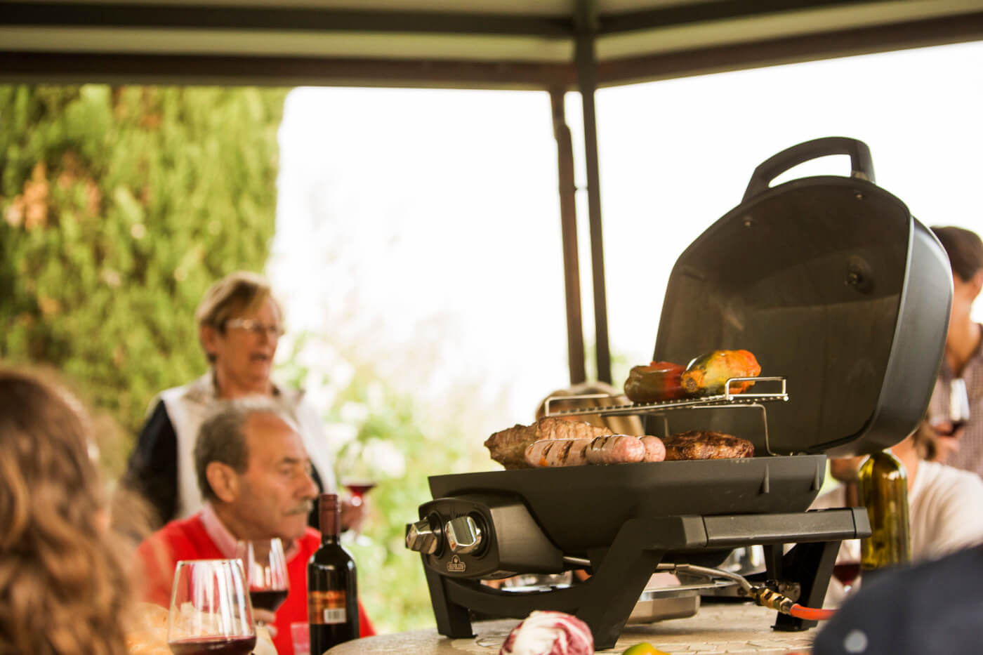 TravelQ PRO285 | Portable Gas Grill | 2 Burners | Cast Iron WAVE Grids | Cast Aluminum Lid | Caterbitz UK