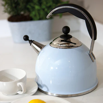 AGA Stainless Steel Whistling Kettle Duck Egg Blue