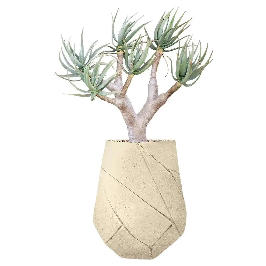 New Bhaca Medium Sandstone Planter by Indigenus Designer Pot  concrete 70kgs