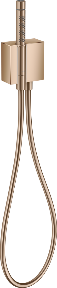 NEW AXOR 46520300 Hansgrohe Edge Porter Baton Hand Shower 2jet Shower Hose BR939