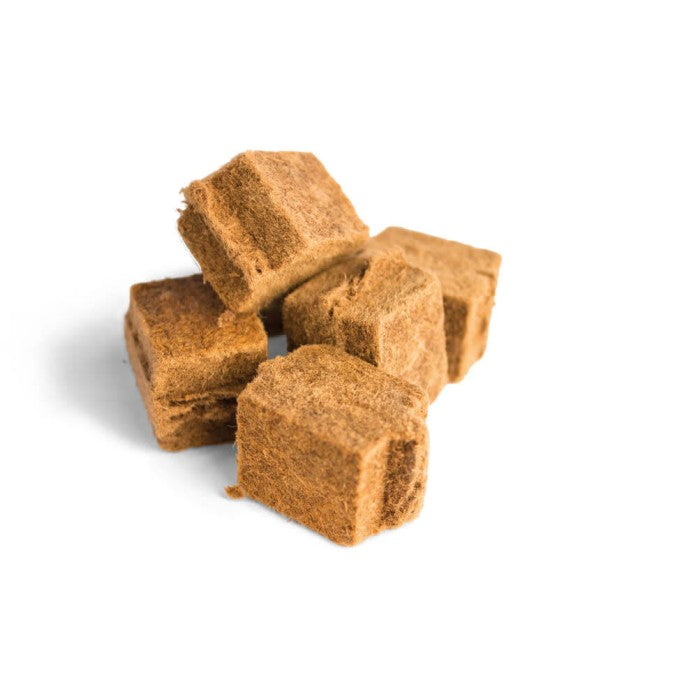 Natural Firelighters | 100 Pieces | Eco-Friendly & Non-Toxic | 8–10 Minute Burn Time | Pinewood & Vegetable Oil | BBQ & Fireplace Starter | Caterbitz UK