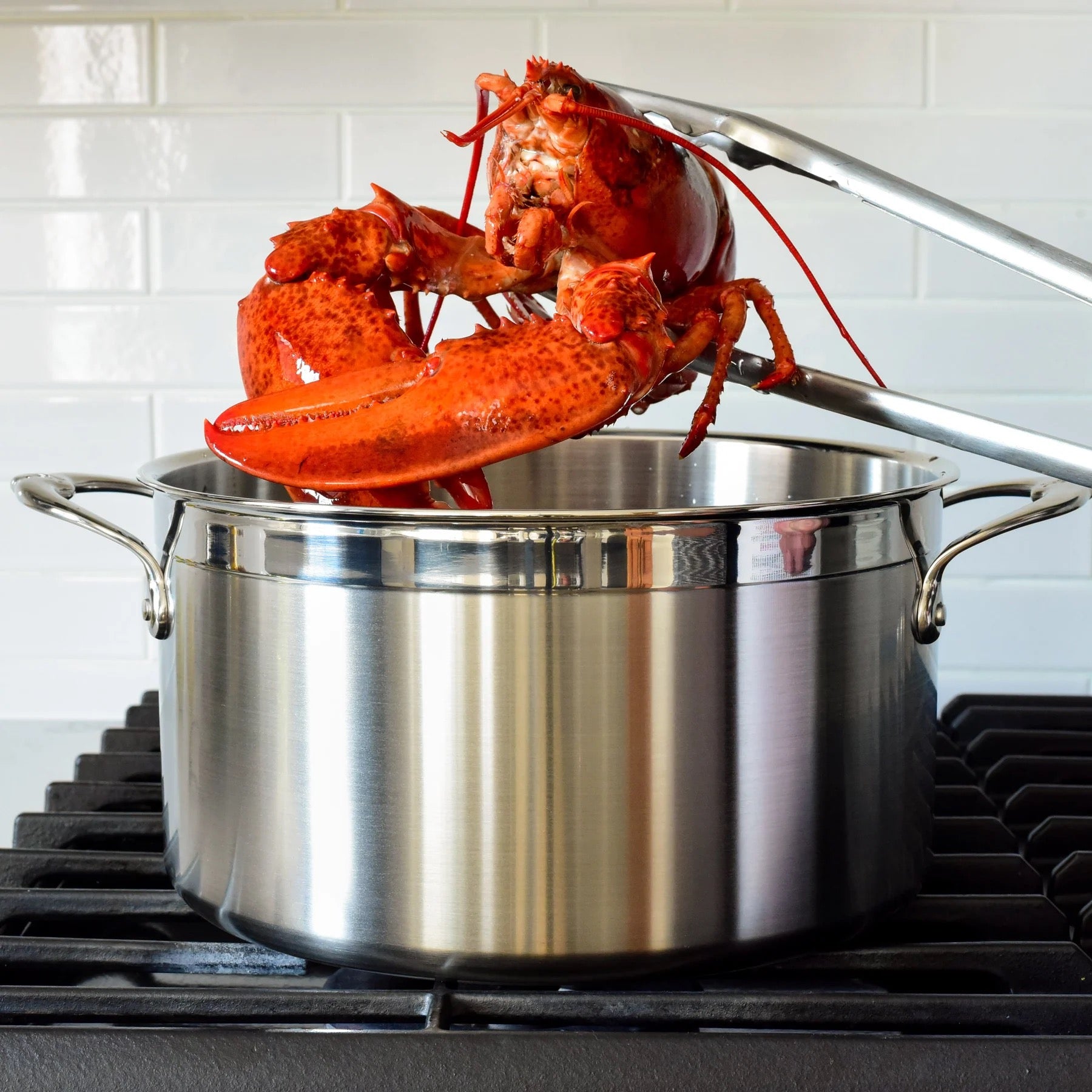 Hestan Probond Stockpot - 26cm