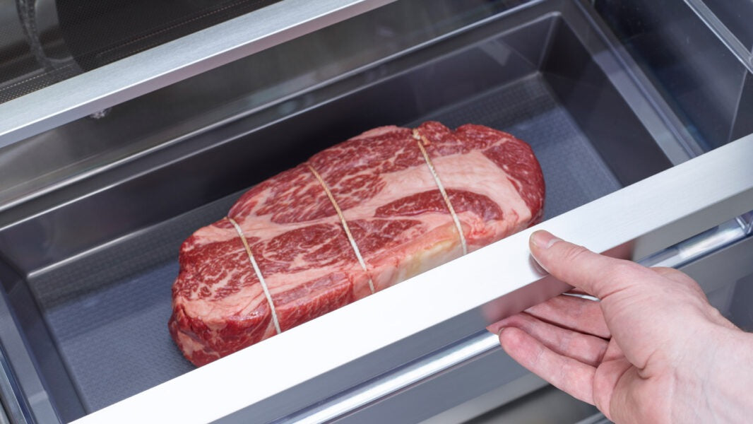 Signature Kitchen Suit 24" Integrated Column Freezer