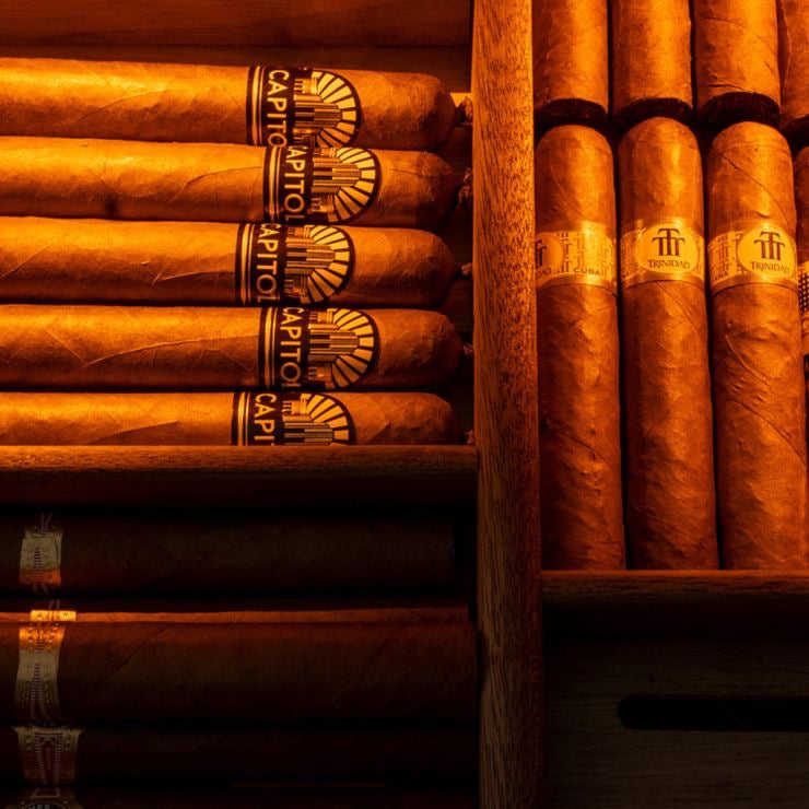 EuroCave Cigar tray shelf