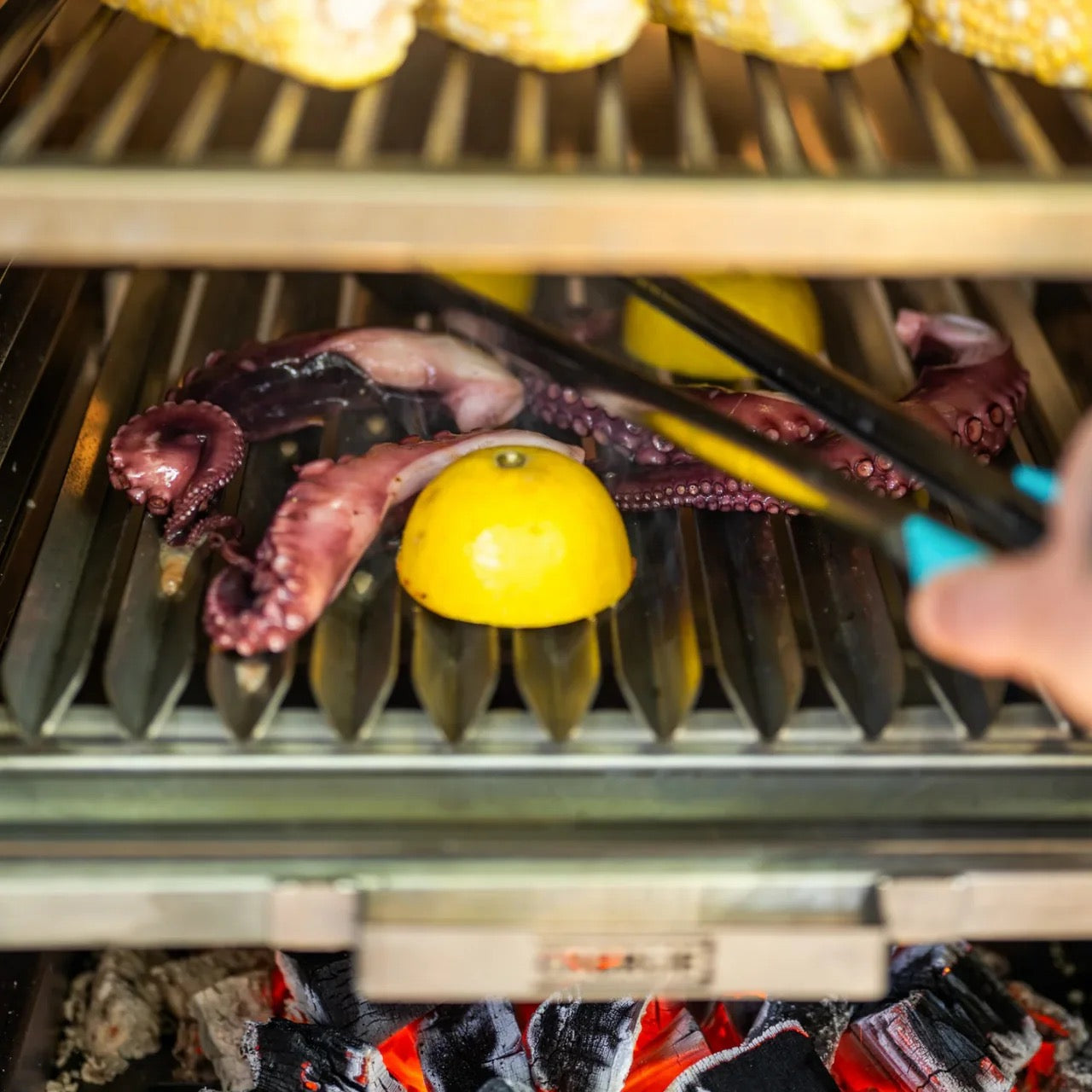 Charlie Oven Argentine Parrilla V Grill Rack