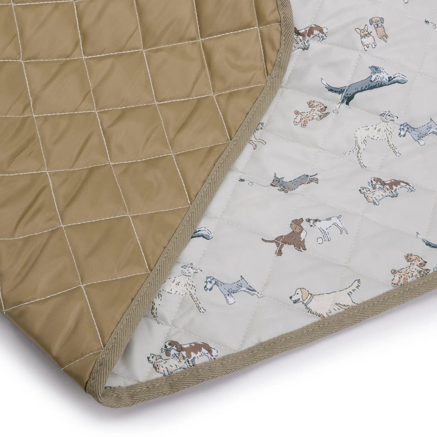 Sophie Allport Doggy Daycare Picnic Blanket
