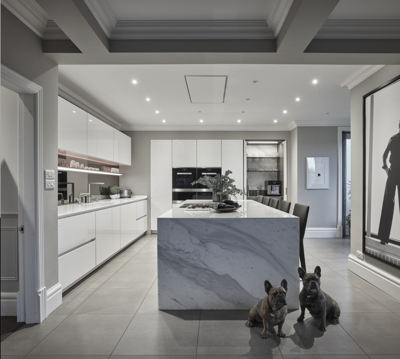 Westin Stratus Air Ceiling Hood